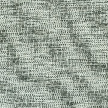 Designers Guild - Rinzu - F1599/11 Platinum