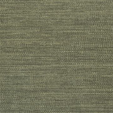 Designers Guild - Rinzu - F1599/14 Birch