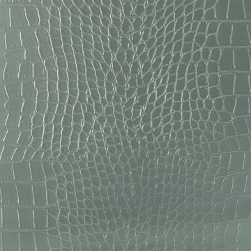 Designers Guild - Raddery - F1622/01 Platinum