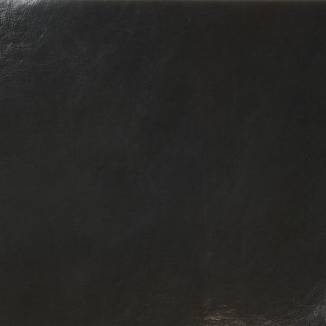 Designers Guild - Jura - F1623/01 Black Ink