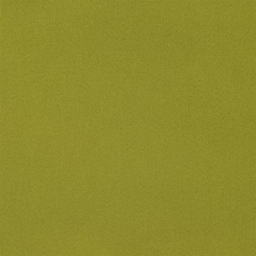 Designers Guild - Santiago - F1650/24 Moss