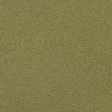 Designers Guild - Santiago - F1650/25 Fern