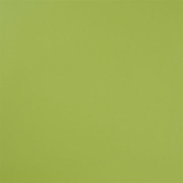 Designers Guild - Manso - F1675/05 Pistachio