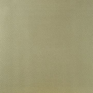 Designers Guild - Jurena - F1676/05 Champagne