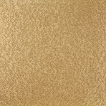 Designers Guild - Jurena - F1676/06 Amber