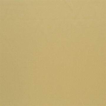 Designers Guild - Tiber - F1736/09 Champagne