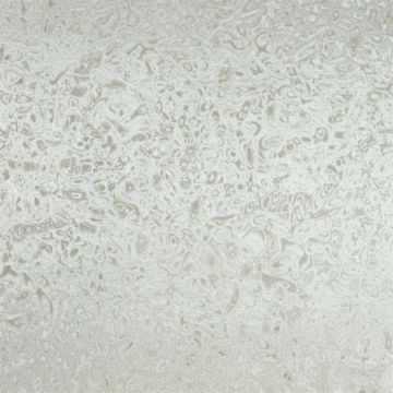 Designers Guild - Rossport - F1741/03 Silver Birch