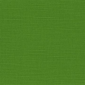 Designers Guild - Dirillo - F1797/26 Leaf