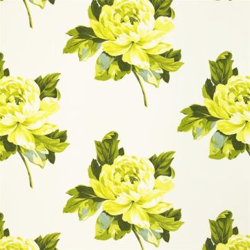 Designers Guild - Charlottenberg - F1800/01 Chartreuse