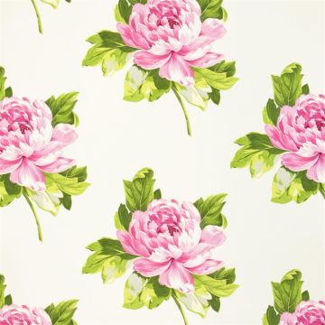 Designers Guild - Charlottenberg - F1800/03 Peony
