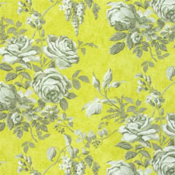 Designers Guild - Rosenholm - F1805/04 Chartreuse