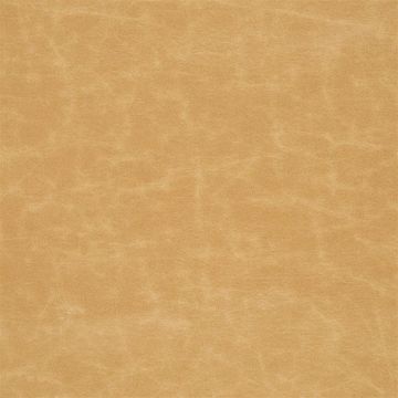 Designers Guild - Arizona - F1935/09 Sand