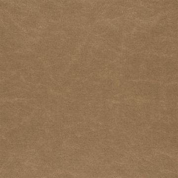 Designers Guild - Arizona - F1935/10 Hazel