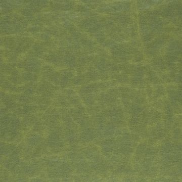 Designers Guild - Arizona - F1935/22 Forest