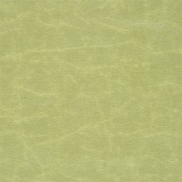 Designers Guild - Arizona - F1935/23