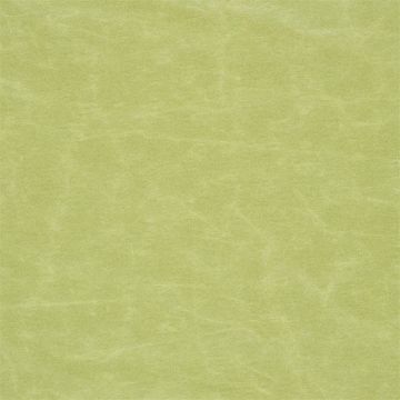Designers Guild - Arizona - F1935/24 Moss