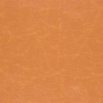 Designers Guild - Arizona - F1935/26 Saffron