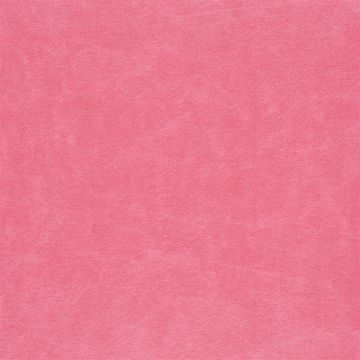 Designers Guild - Arizona - F1935/28 Cassis