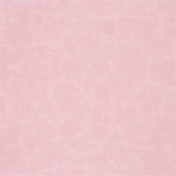 Designers Guild - Arizona - F1935/30 Blossom