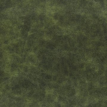 Designers Guild - Tucson - F1936/06 Apple