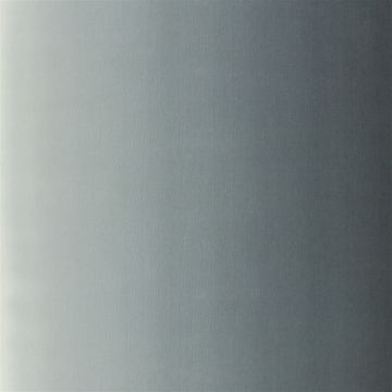 Designers Guild - Padua - F1987/01 Graphite