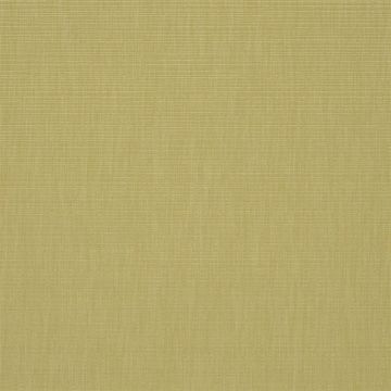 Designers Guild - Barra - F1990/02 Reed