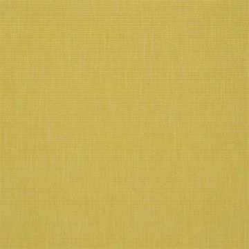 Designers Guild - Barra - F1990/03 Wheat