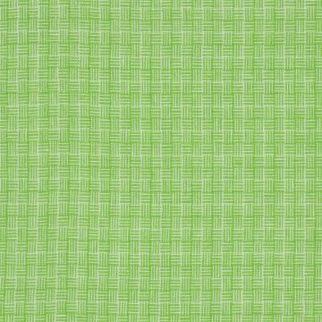 Designers Guild - Brera Cestino - F1996/07 Grass