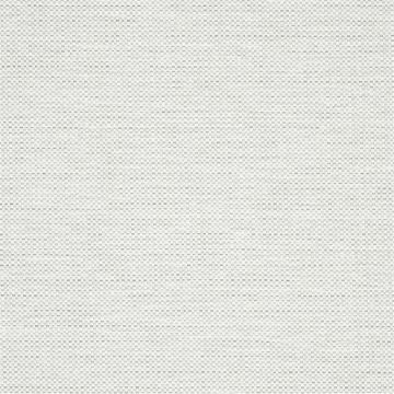 Designers Guild - Morvern - F2019/15 Platinum