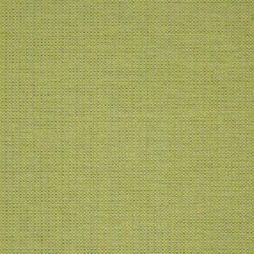 Designers Guild - Morvern - F2019/16 Leaf