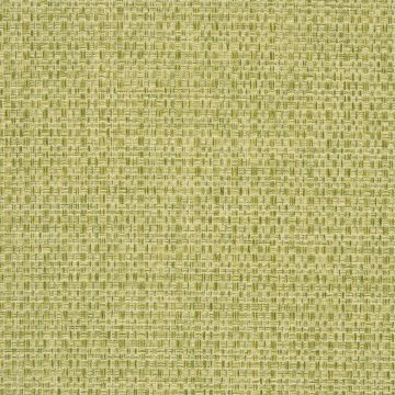 Designers Guild - Cullen - F2024/05 Moss