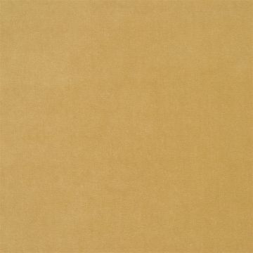 Designers Guild - Cassia - F2034/37 Ochre