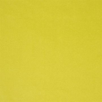 Designers Guild - Cassia - F2034/40 Alchemilla