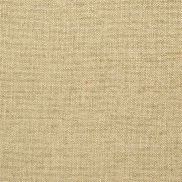 Designers Guild - Elrick - F2063/12 Driftwood