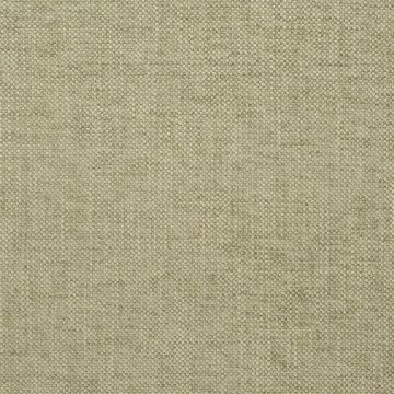 Designers Guild - Elrick - F2063/23 Otter