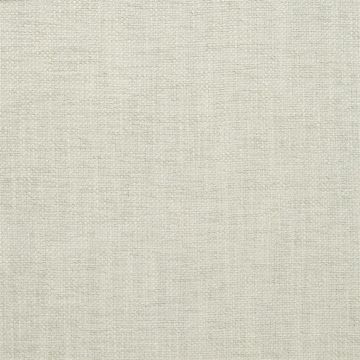 Designers Guild - Elrick - F2063/26 Platinum