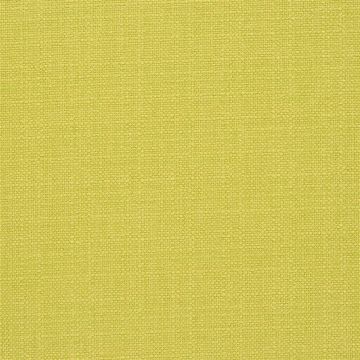 Designers Guild - Bolsena - F2068/22 Alchemilla