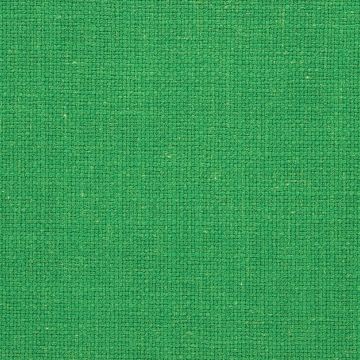 Designers Guild - Ledro - F2069/10 Grass