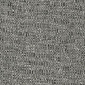 Designers Guild - Deskray - F2076/01 Charcoal