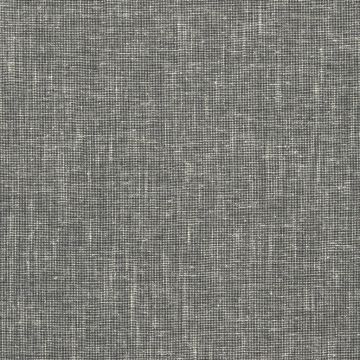 Designers Guild - Tynet - F2087/03 Charcoal