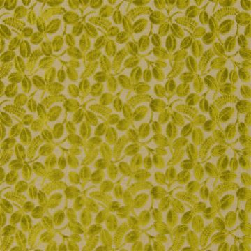 Designers Guild - Calaggio - F2105/01 Moss