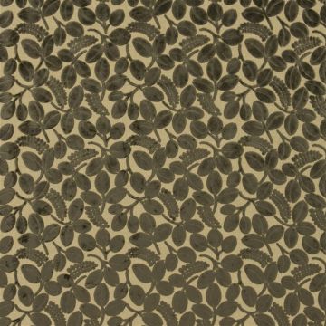 Designers Guild - Calaggio - F2105/12 Roebuck