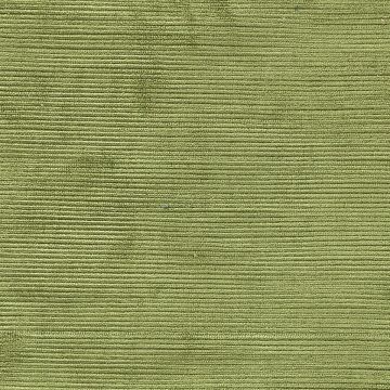 Designers Guild - Mesilla - FDG2162/11 Moss