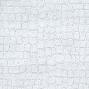 Designers Guild - Kalahari - FDG2166/01 Dove