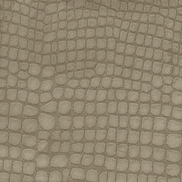 Designers Guild - Kalahari - FDG2166/20 Acorn