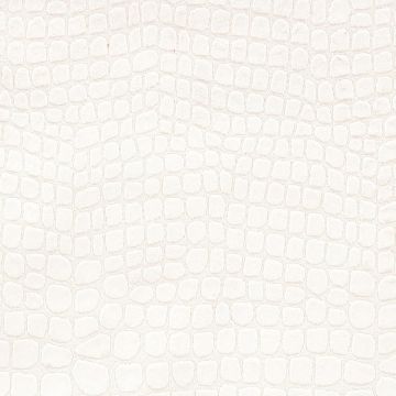 Designers Guild - Kalahari - FDG2166/27 Oyster