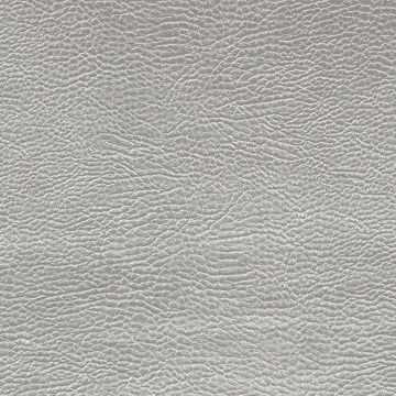 Designers Guild - Atacama - FDG2168/02 Pewter