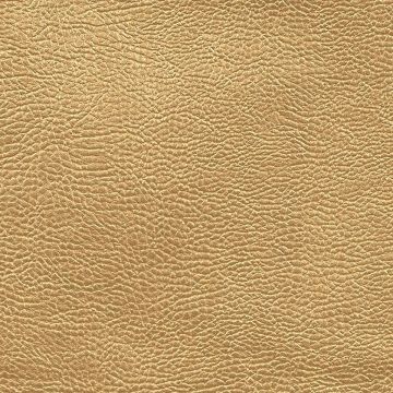 Designers Guild - Atacama - FDG2168/03 Gold