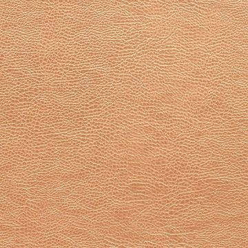 Designers Guild - Atacama - FDG2168/05 Copper