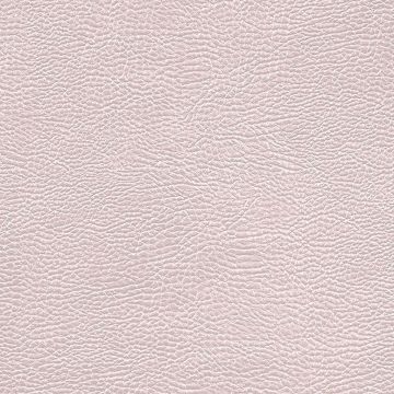 Designers Guild - Atacama - FDG2168/08 Birch